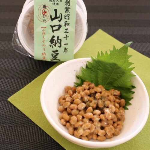 guritoyo05